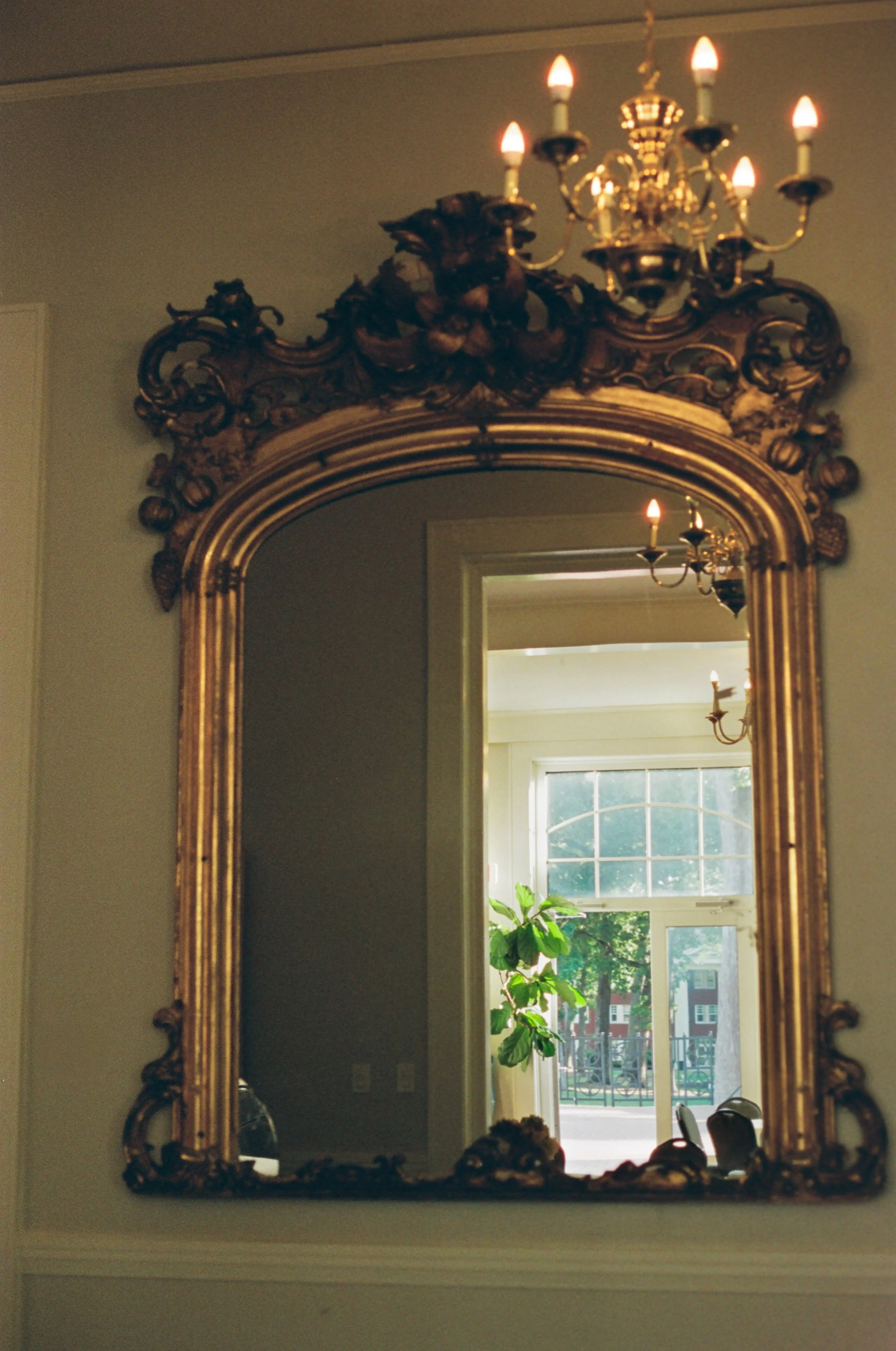 Film By Shauna a-16.jpeg