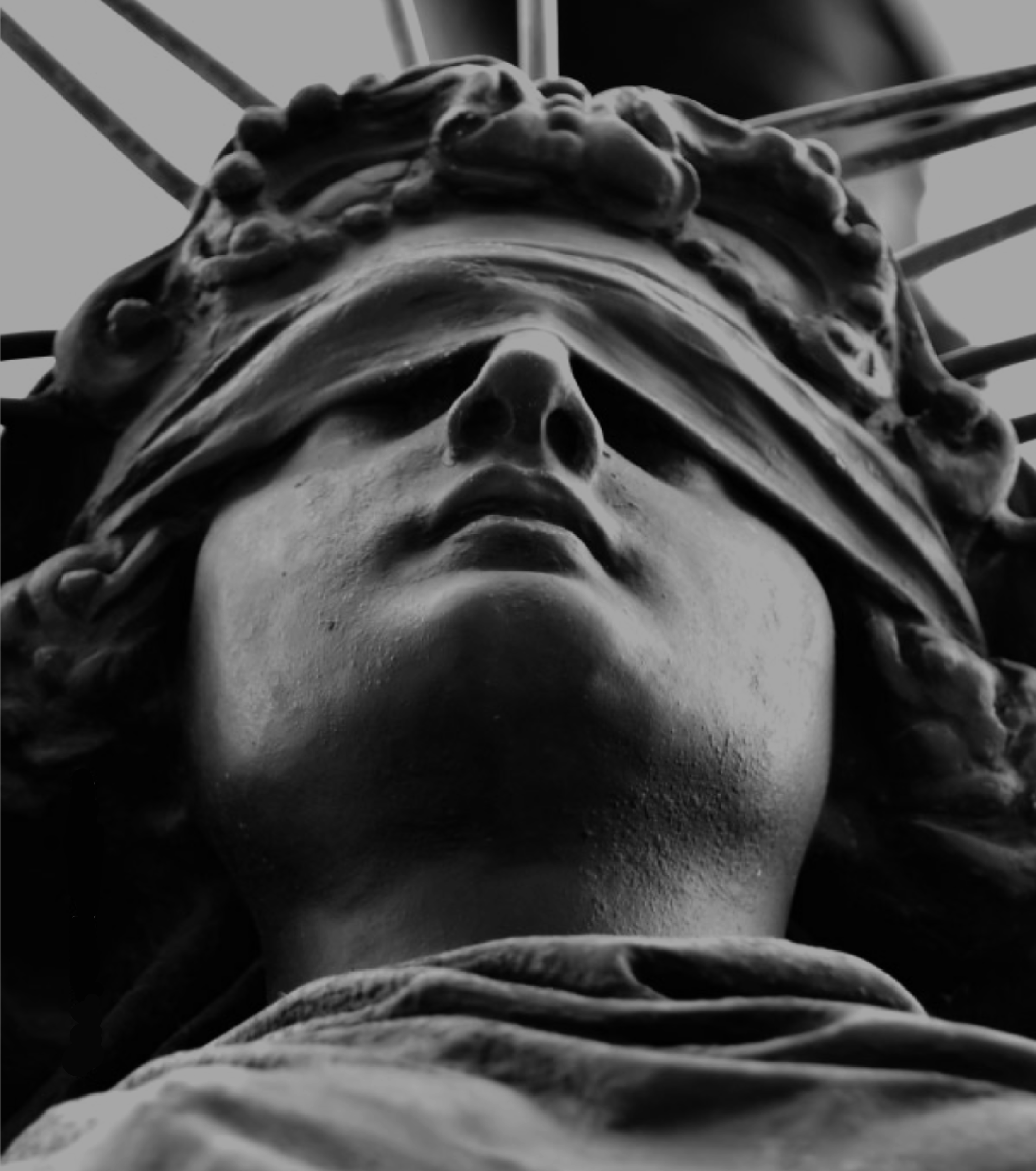 Dispute Resolution & Litigation Support