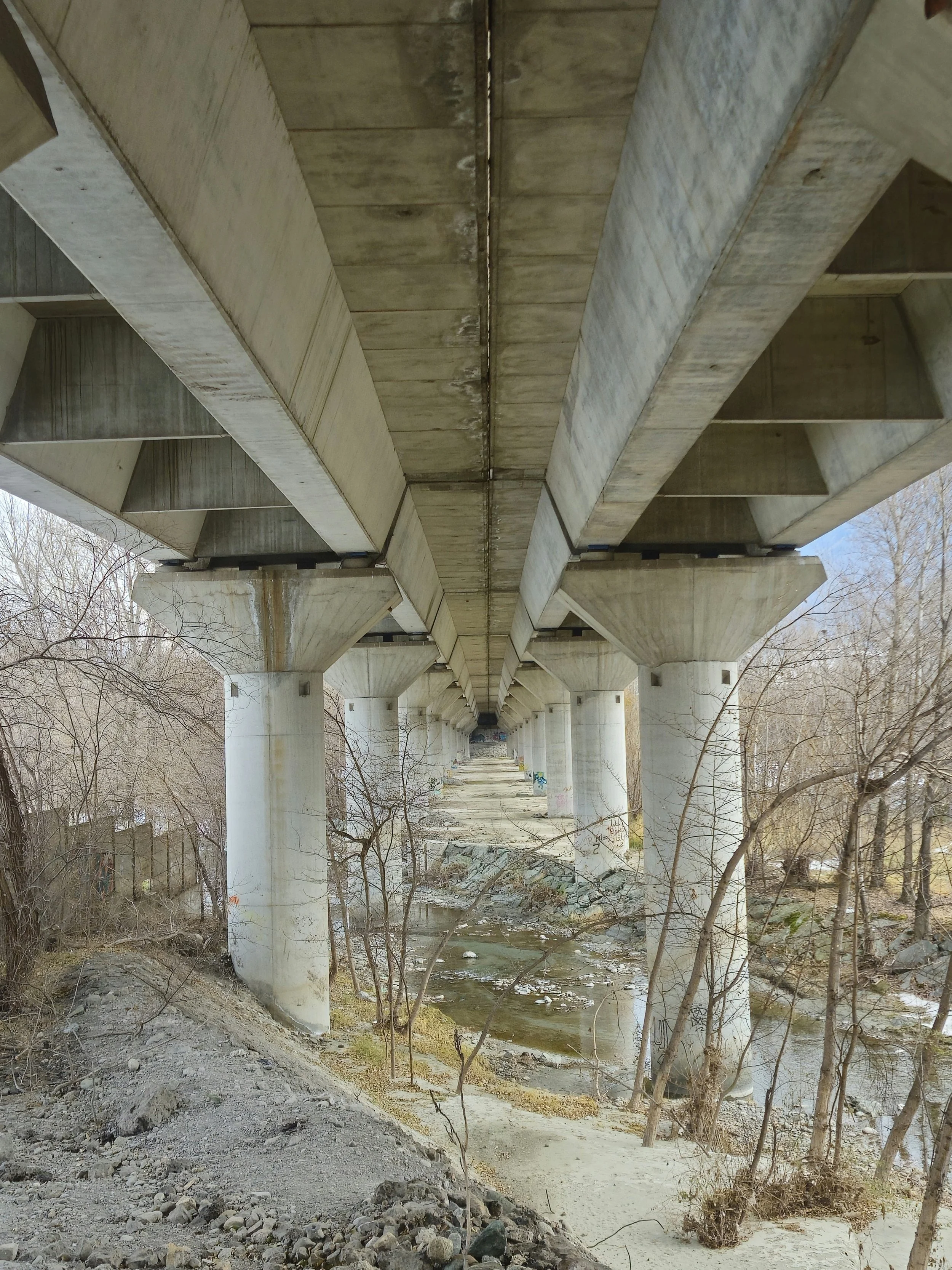 cable stayed bridge of multiple spans with concrete piers and composite deck