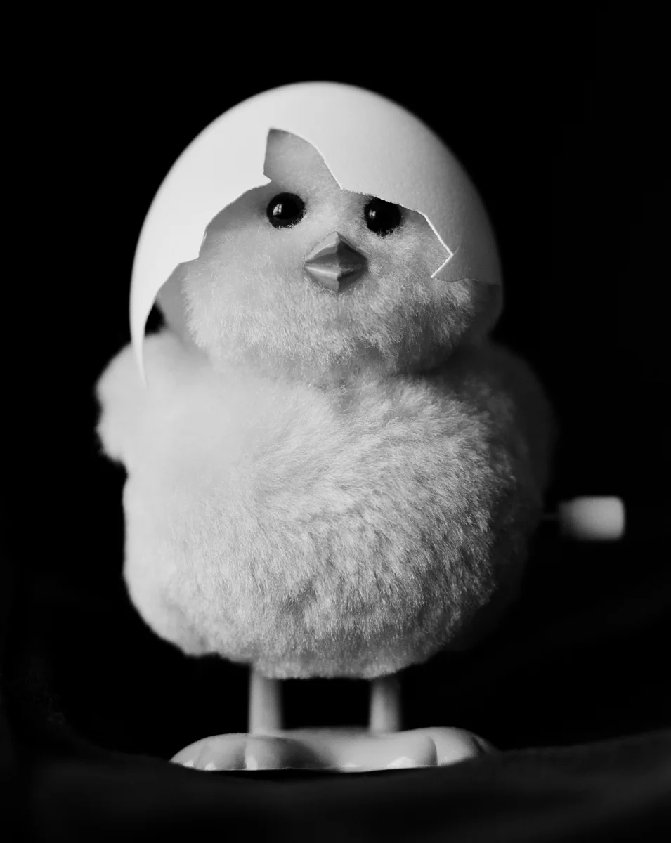 Chick_Scaler.jpg
