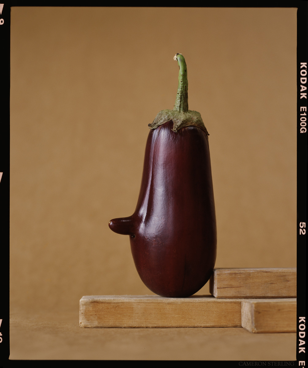 ©CameronSterilng_Aubergines_B9_Color.jpg