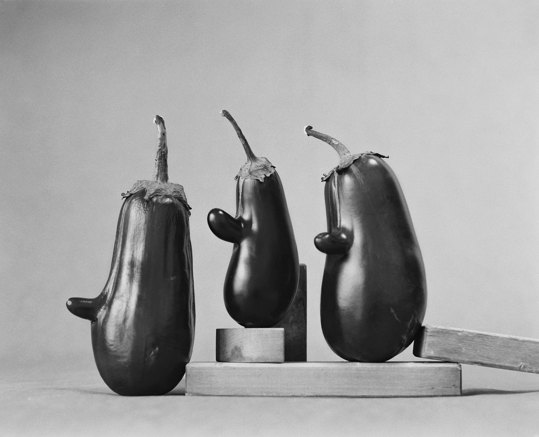 Aubergines_F4-Scaler.jpg