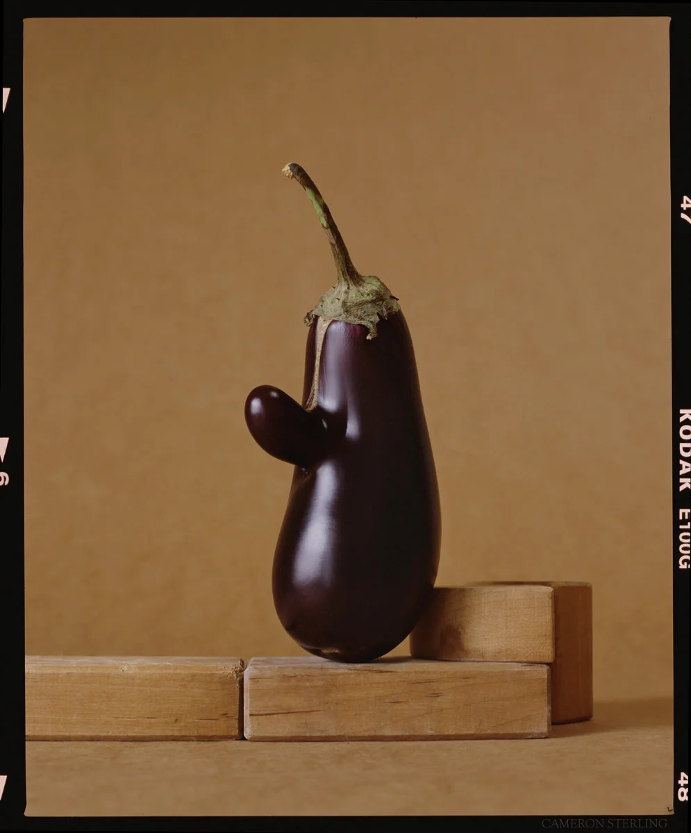 Aubergines_A6_Color.jpg