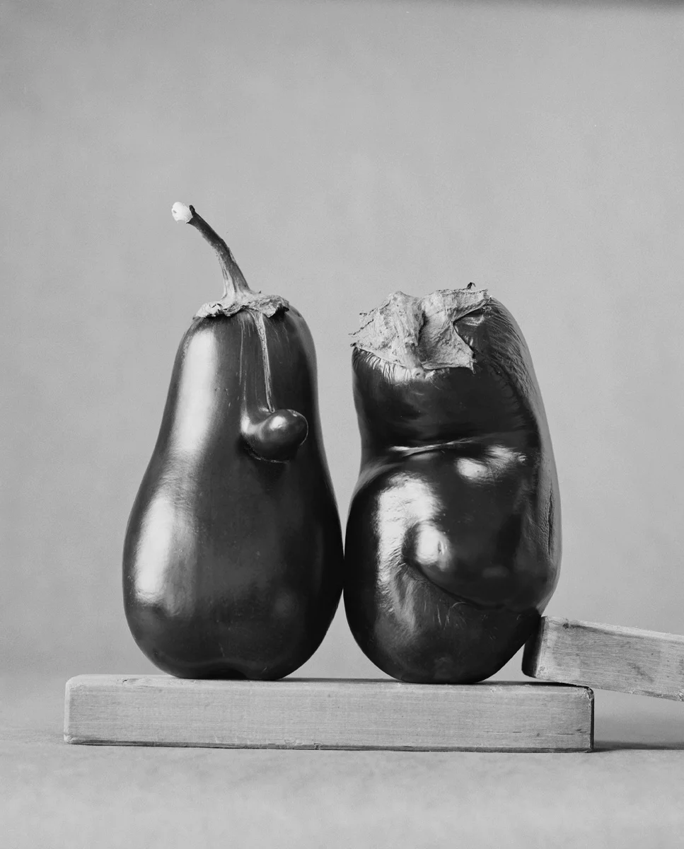 Aubergines_E2_Scaler.jpg