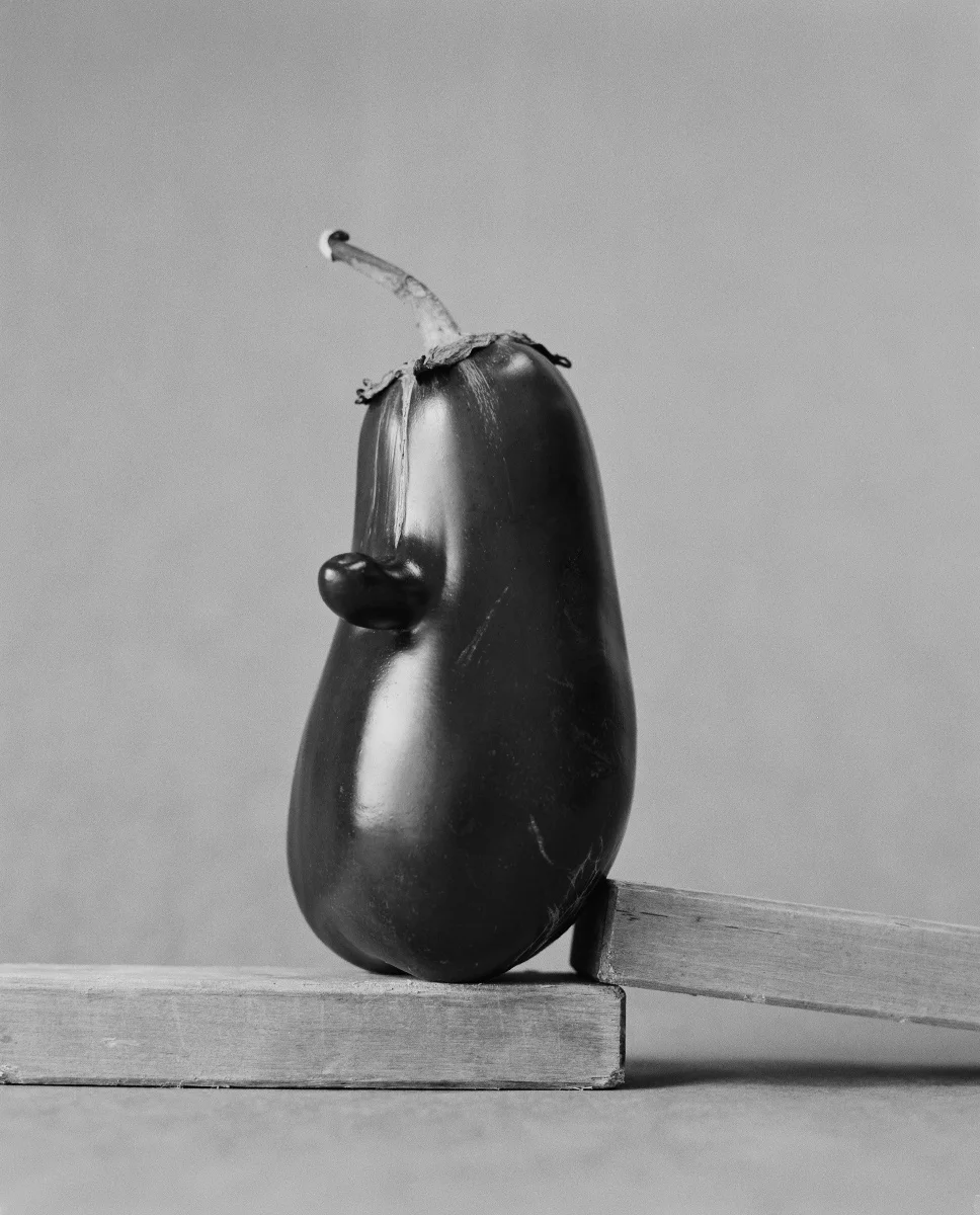 Aubergines_C10_Scaler.jpg