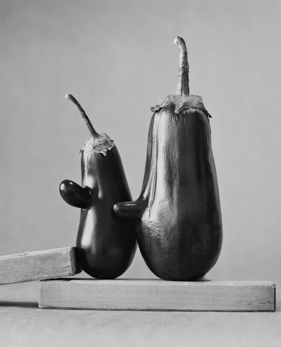Aubergines_E5-Scaler.jpg