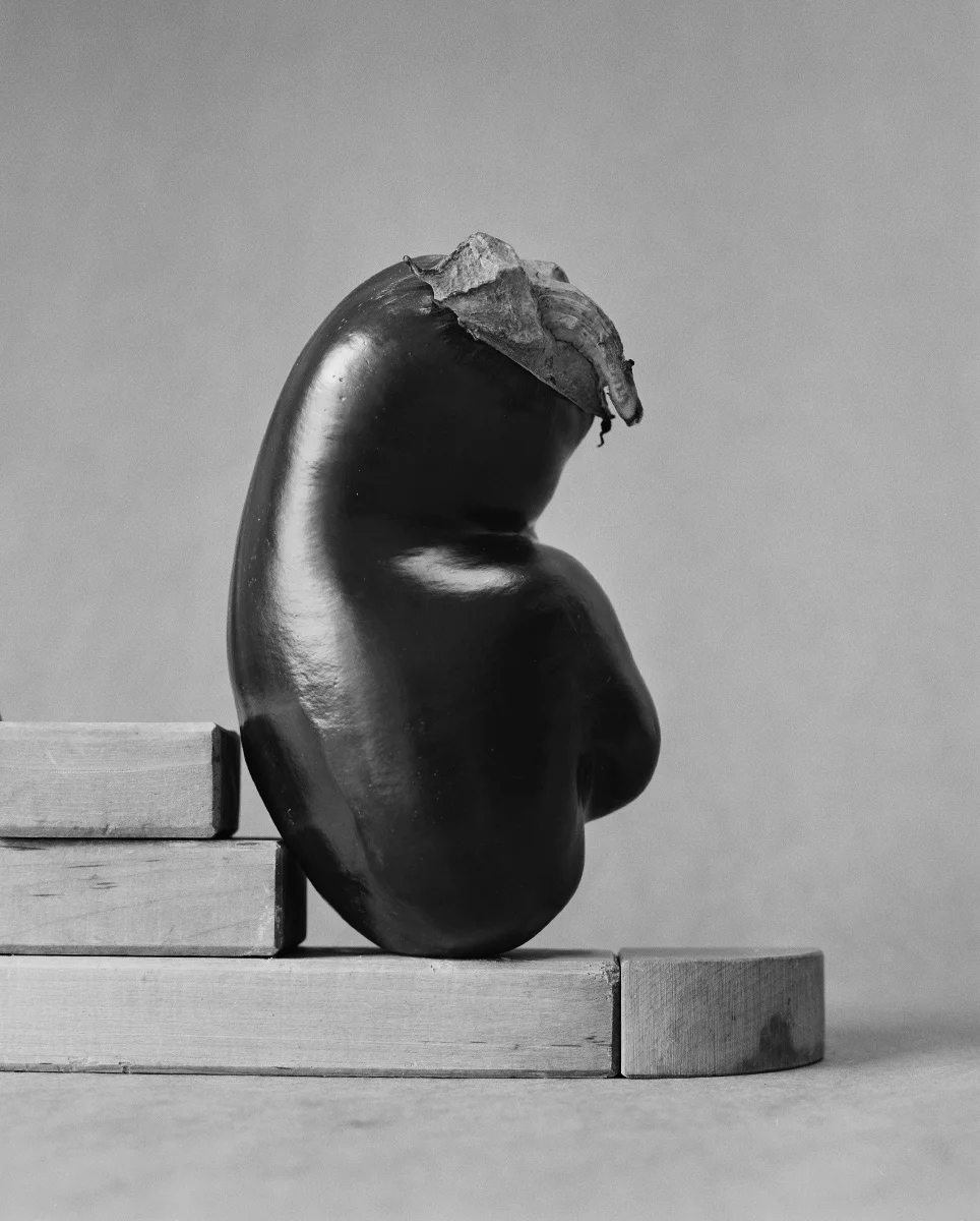 Aubergines_D4_Scaler.jpg