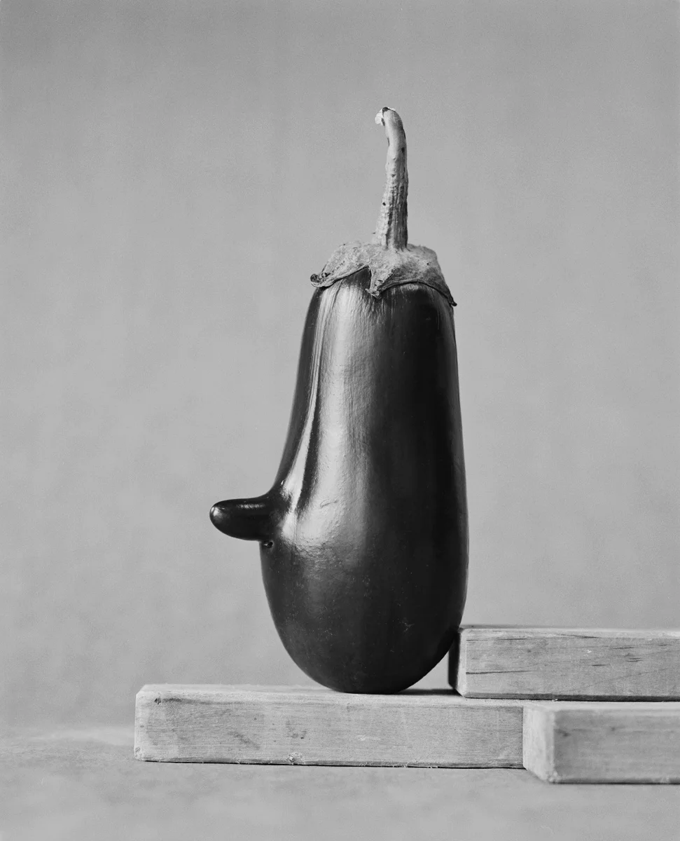Aubergines_B9_Scaler.jpg