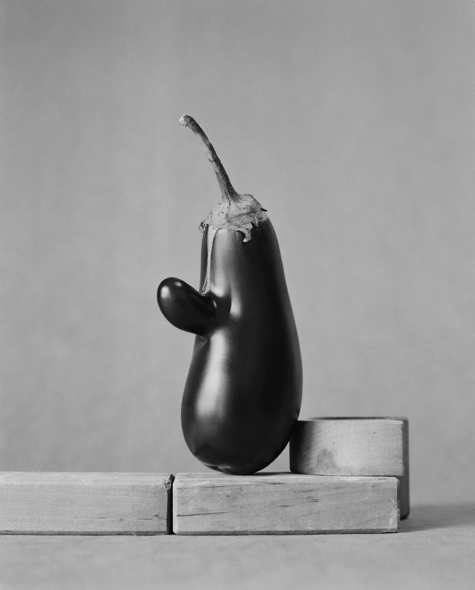 Aubergines_A6_Scaler.jpg