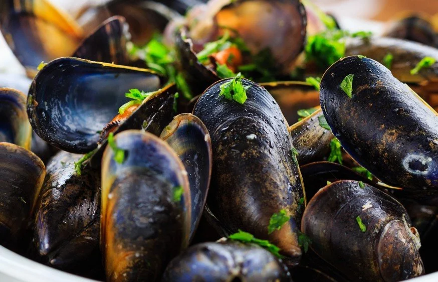 Close-up of cooked mussels garnished with chopped parsley.