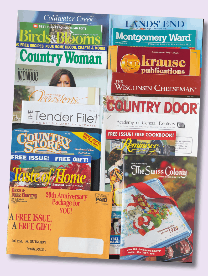 Successful web and catalog copywriting for powerful national brands.