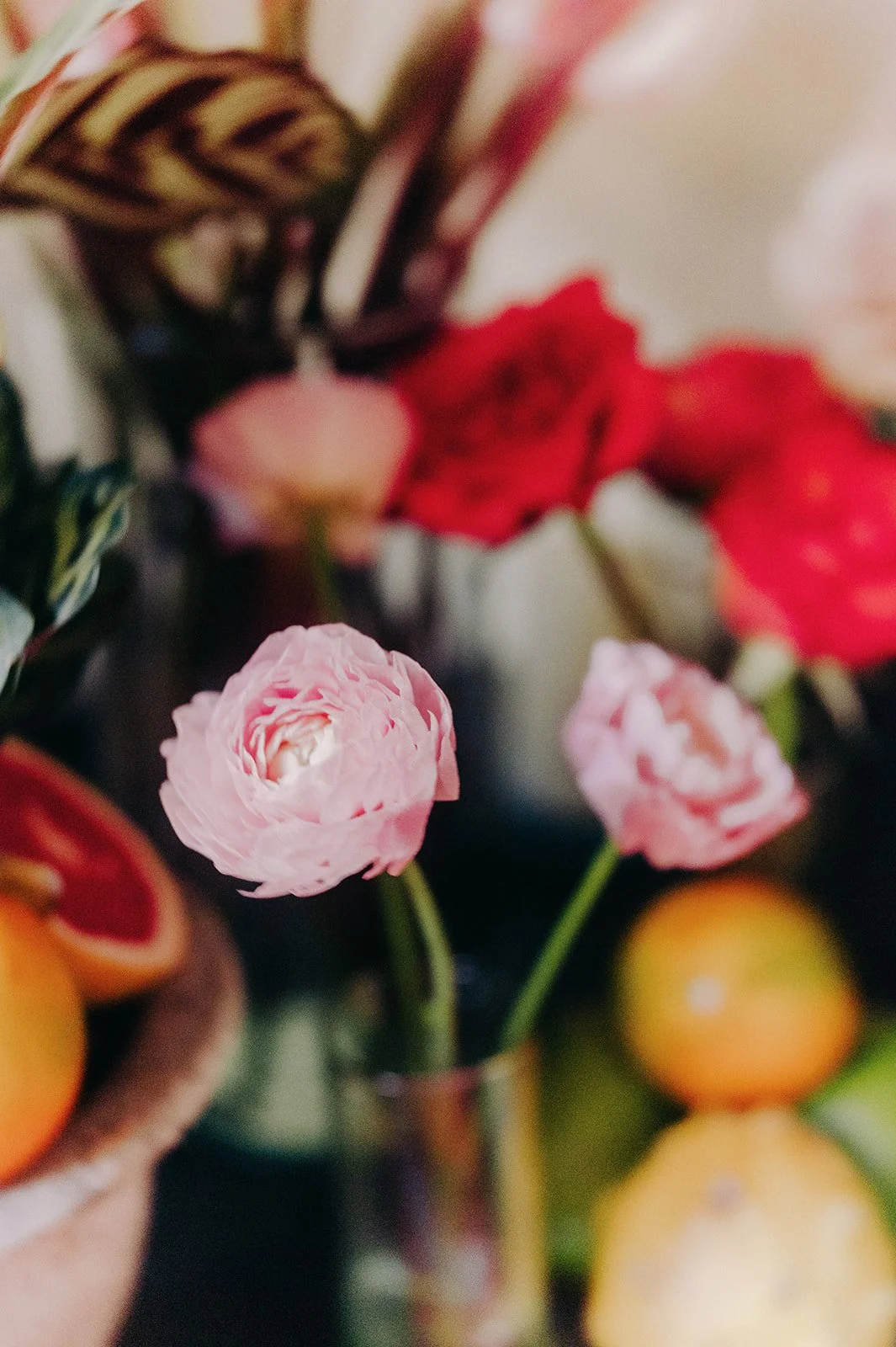 SP A&J BY LFV-49_websize.jpg