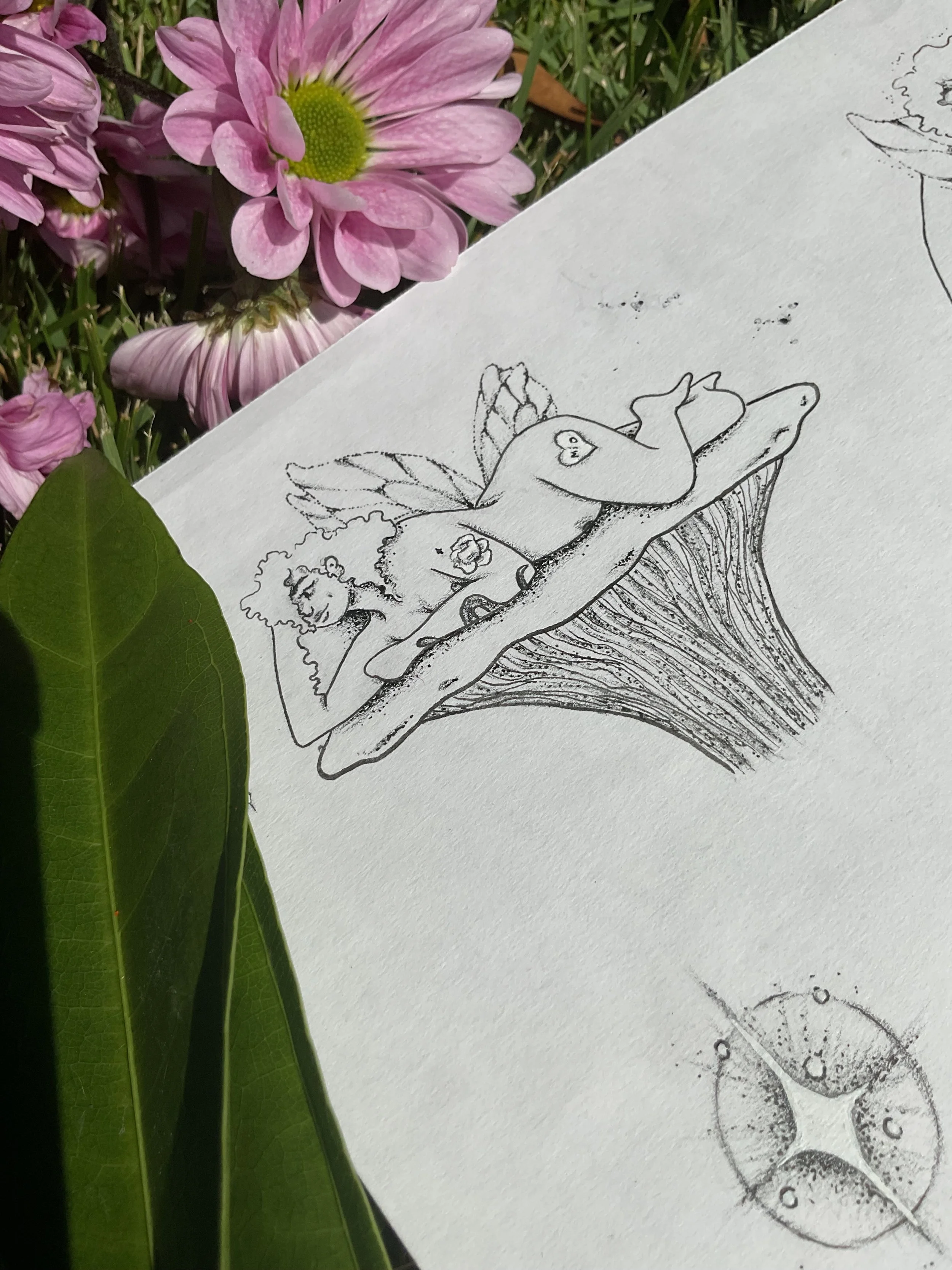 mushroom fairy 3.jpg