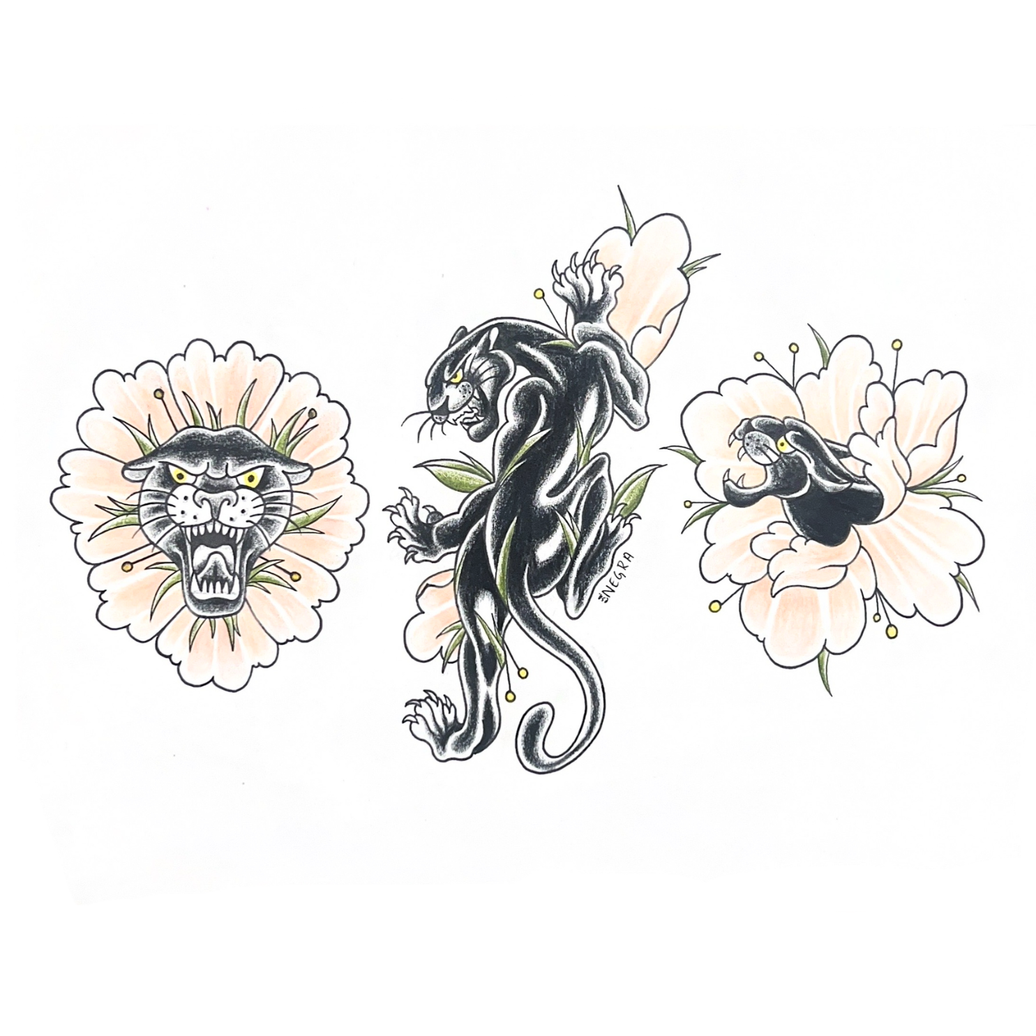 Panther Medicina ~ Flash 