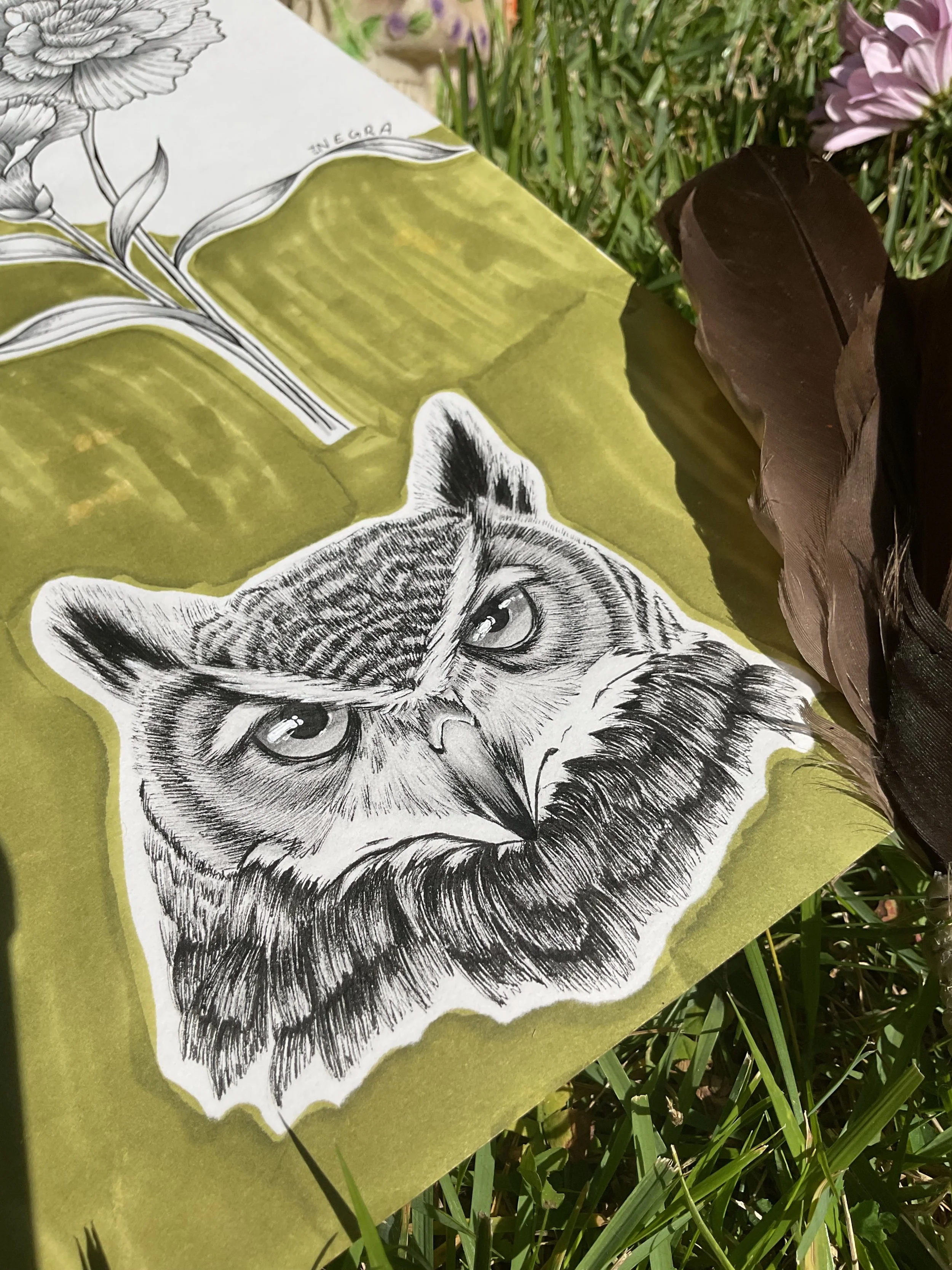 Medicina Del Búho ~ Flash 