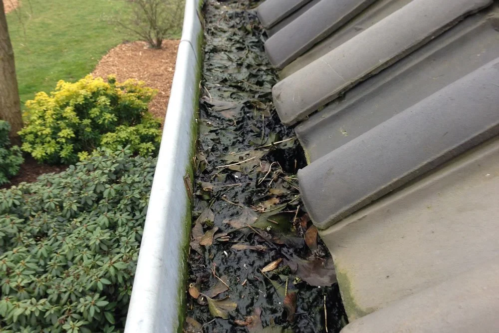Je dakgoot heeft nu waarschijnlijk meer bladeren dan je lief is.

Na herfst en winter kan een dakgoot helemaal vol lopen met bladeren, takjes en prut. En dan stroomt het bij regen niet meer weg, maar juist over de rand. Water langs je gevel, groene a