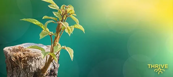 3 Steps to Make a Comeback - The Road to Recovery