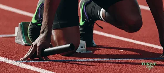 Starting a New Season