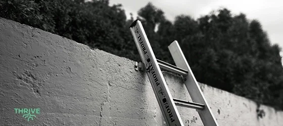 There Are No Shortcuts to Sustainable Success