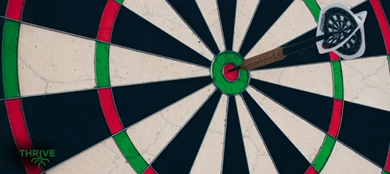 When Excellence Becomes an Idol