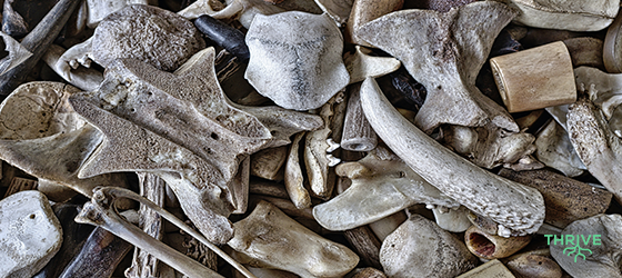 Breath and Bones: The Supernatural Combination