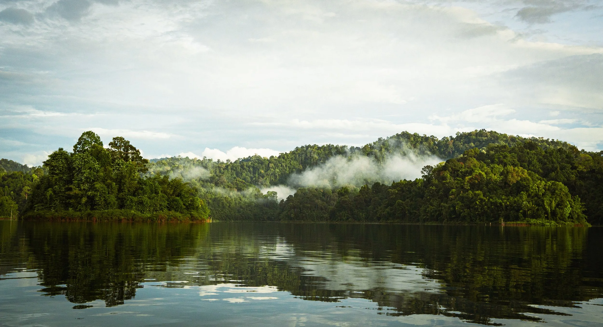 Khao Sok National Park : Un voyage hors du temps entre lac et montagne