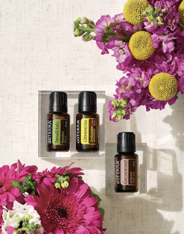 Three small bottles of doTERRA essential oils on clear blocks with pink and yellow flowers nearby, against a light-colored background.