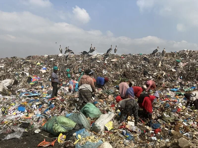 landfill