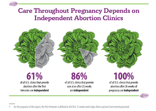 Why independent abortion clinics are vital