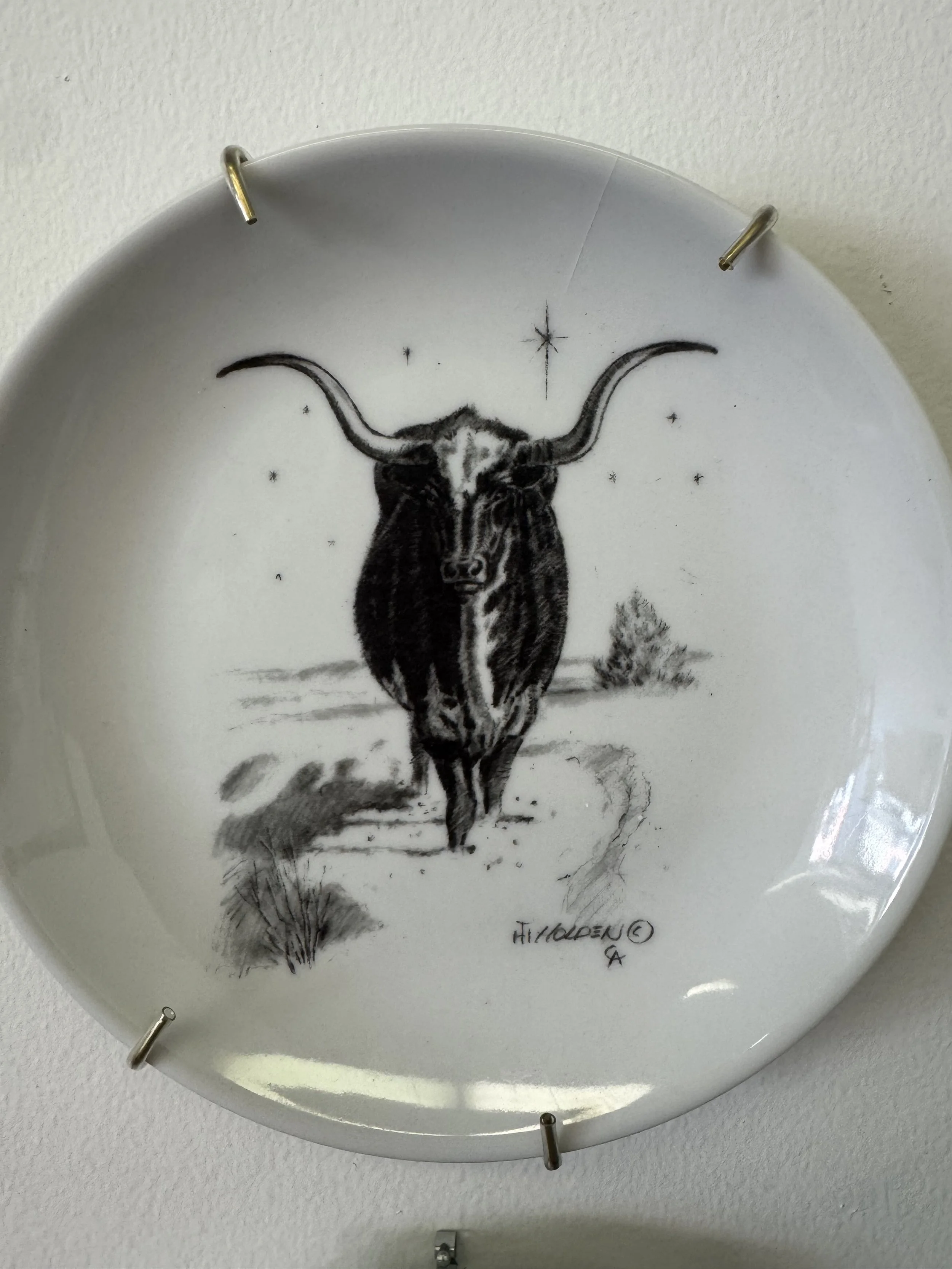 Longhorn Plate.jpg