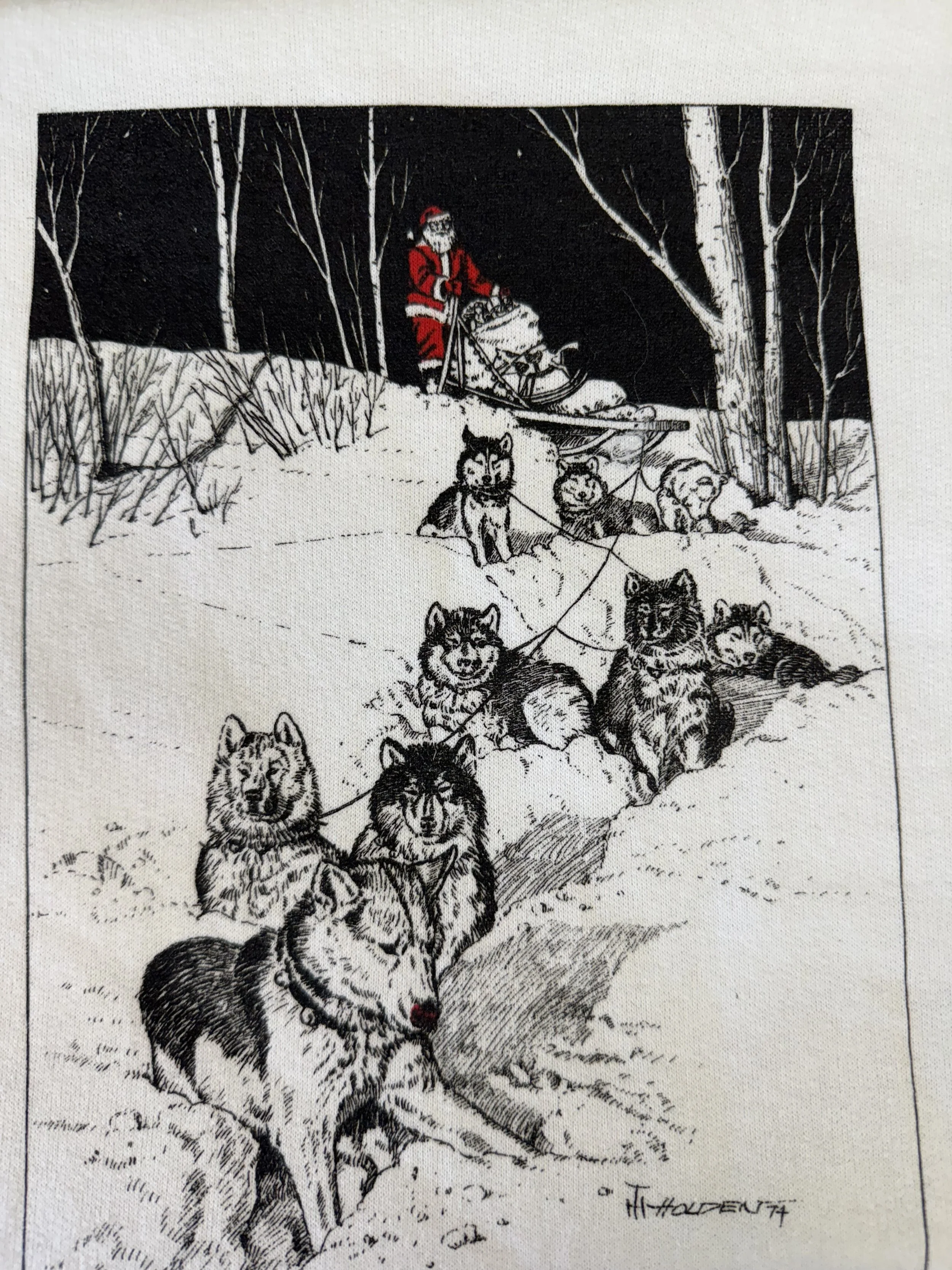 Dog Sled.jpg