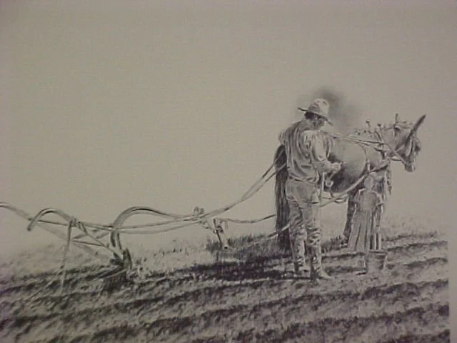 Pioneer.JPG