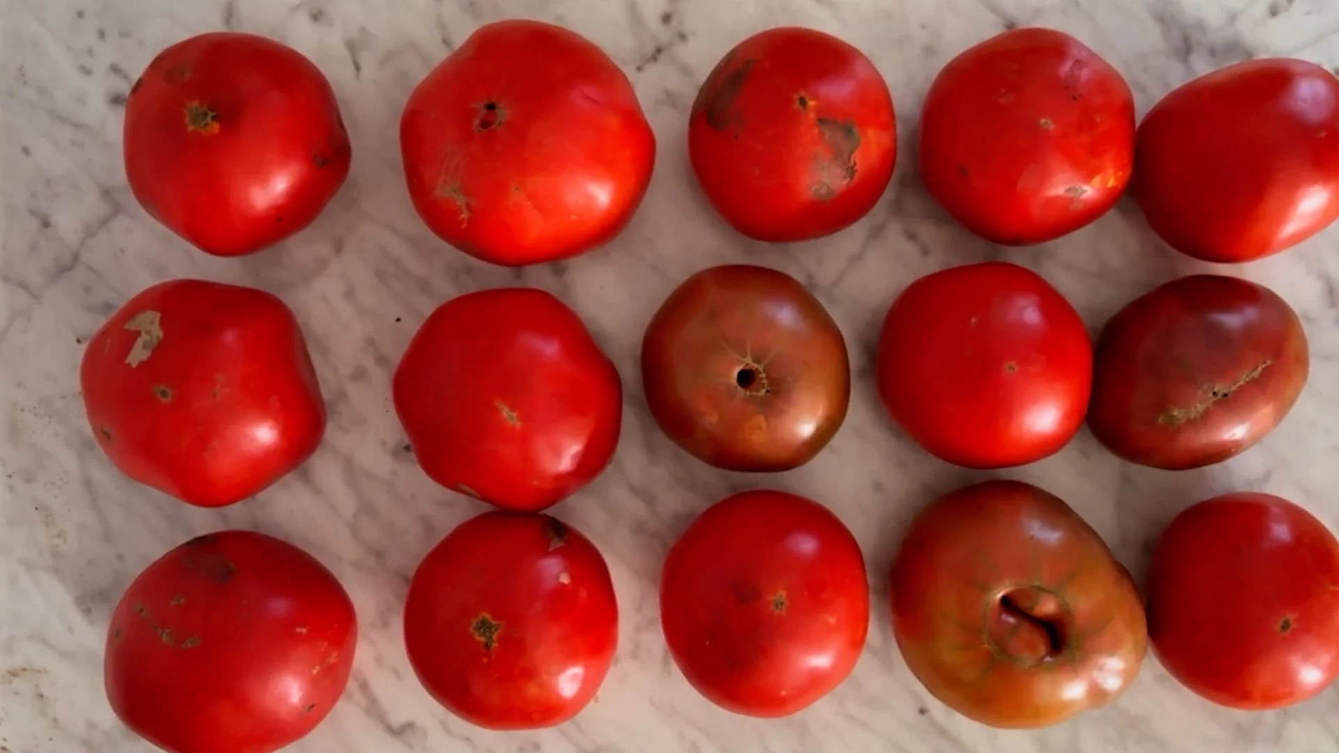 A Hundred Ball Jars.00_03_59_08.Still010.jpg