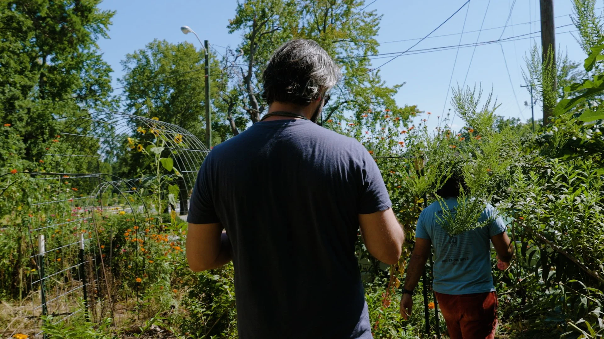 A Hundred Ball Jars.00_01_51_01.Still015.jpg