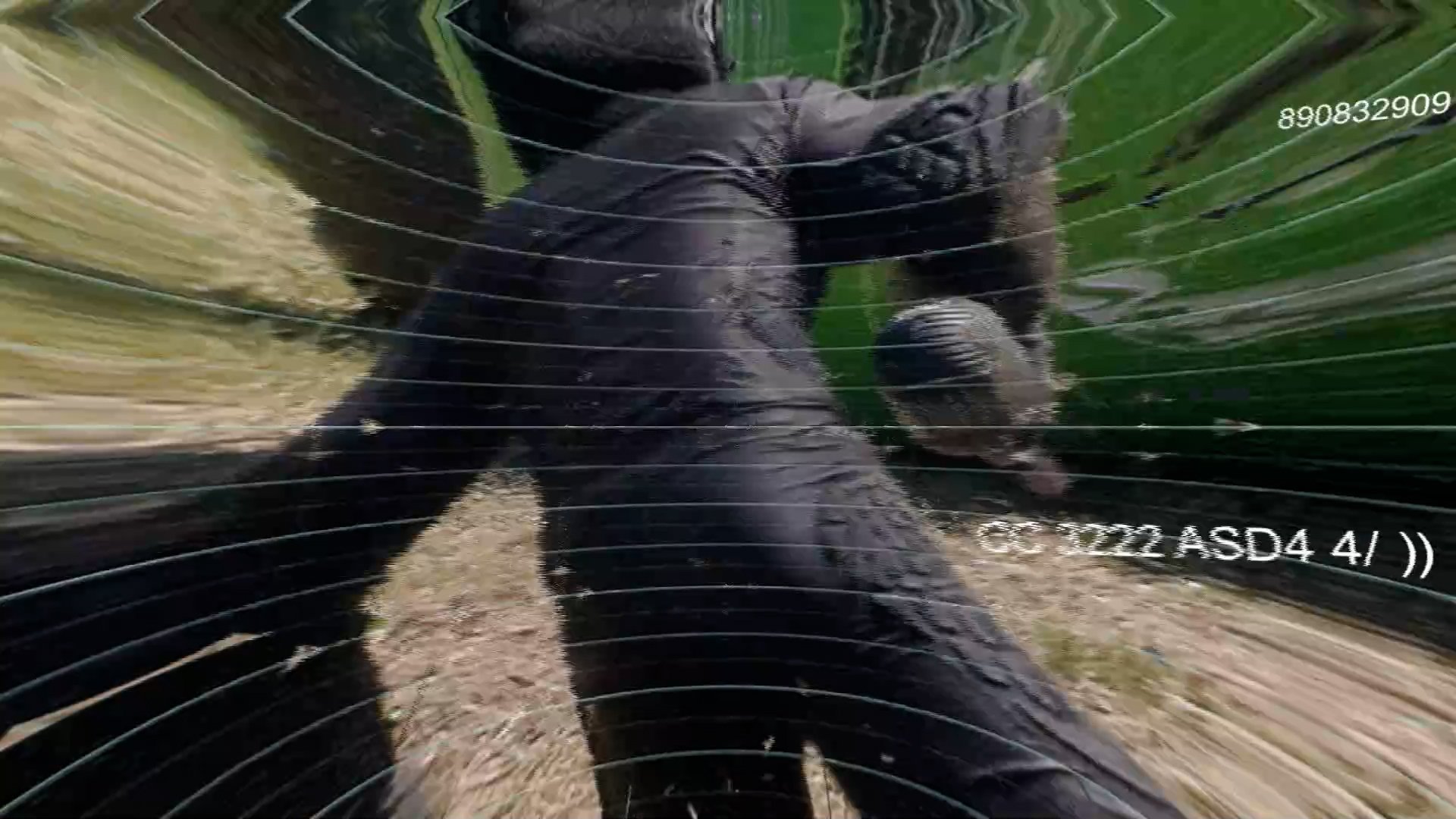 COMPRESSION PADS FULL v2.00_00_25_26.Still024.jpg