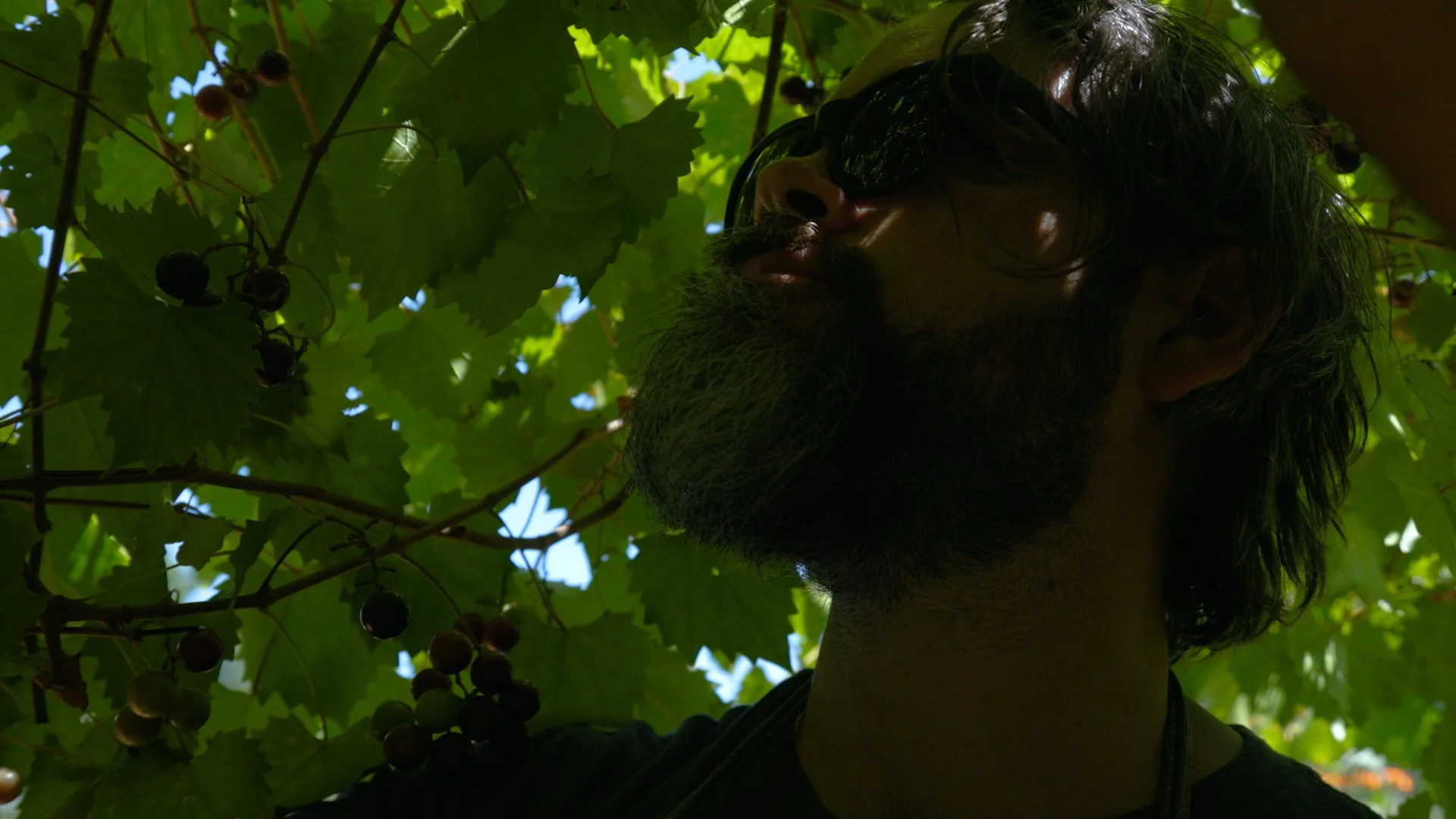 A Hundred Ball Jars.00_02_00_07.Still014.jpg