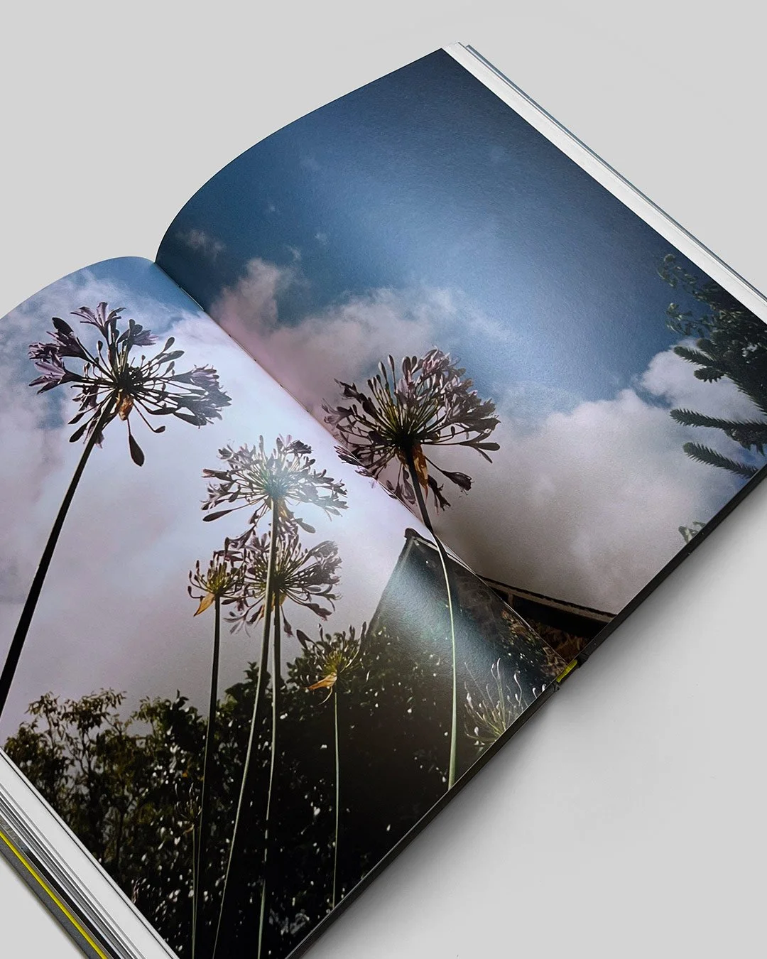 book_04_low.jpg