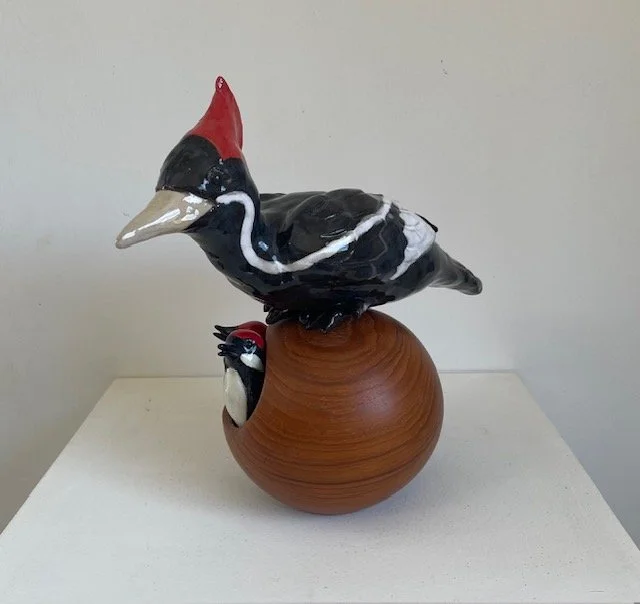 woodpecker family.jpeg