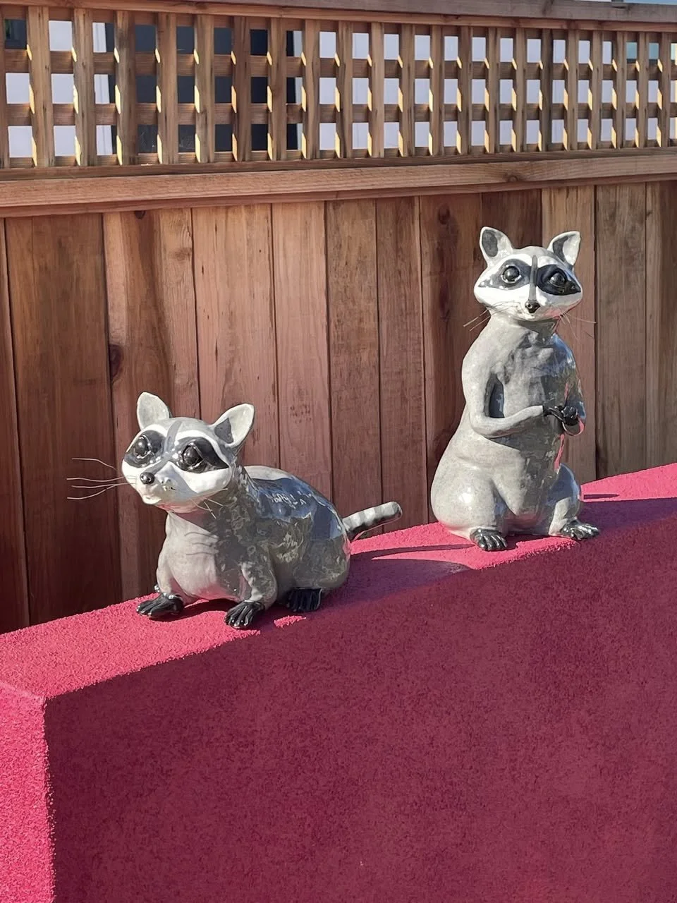 Love Those Raccoons