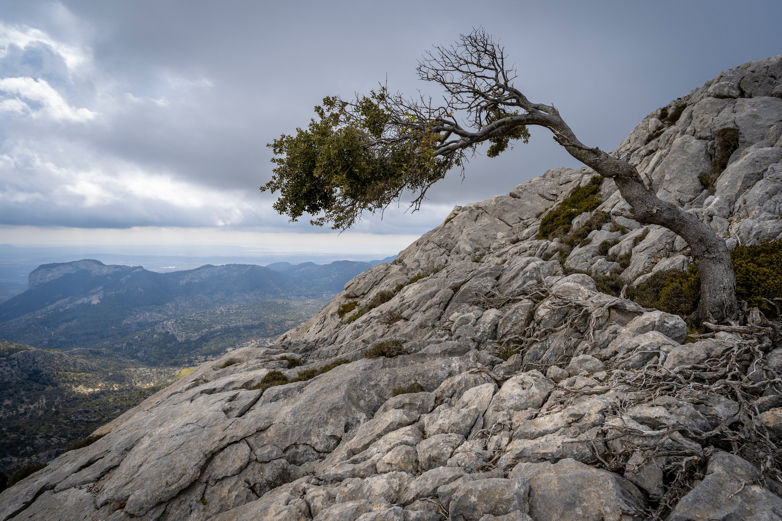 Rising Through Resilience: Tim Merry &amp; Tuesday Ryan-Hart of The Outside On The Five Things You Can Do To Become More Resilient During Turbulent Times