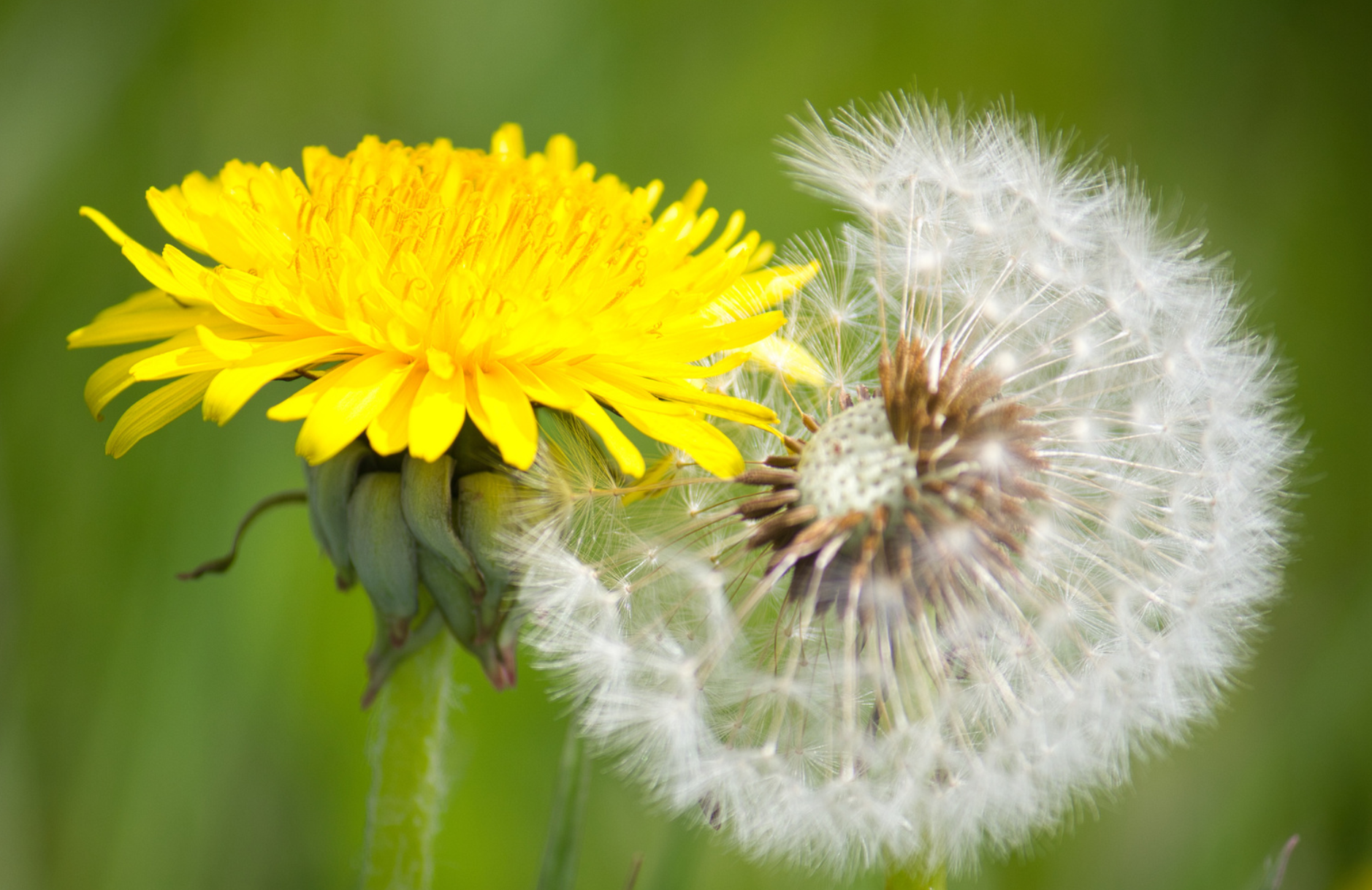 Navigating Transformation: A Four Part Workshop for Women with Tuesday Ryan-Hart