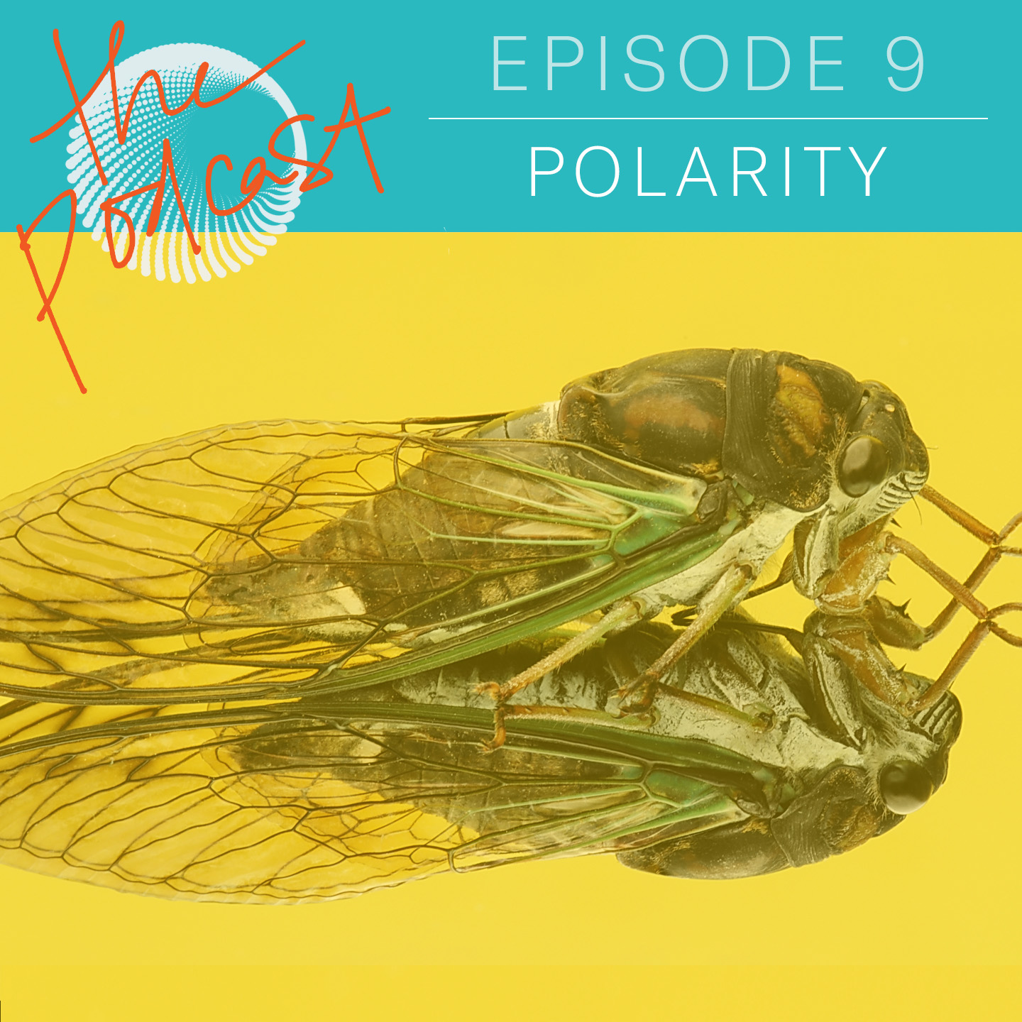 Episode 1.09: Polarity