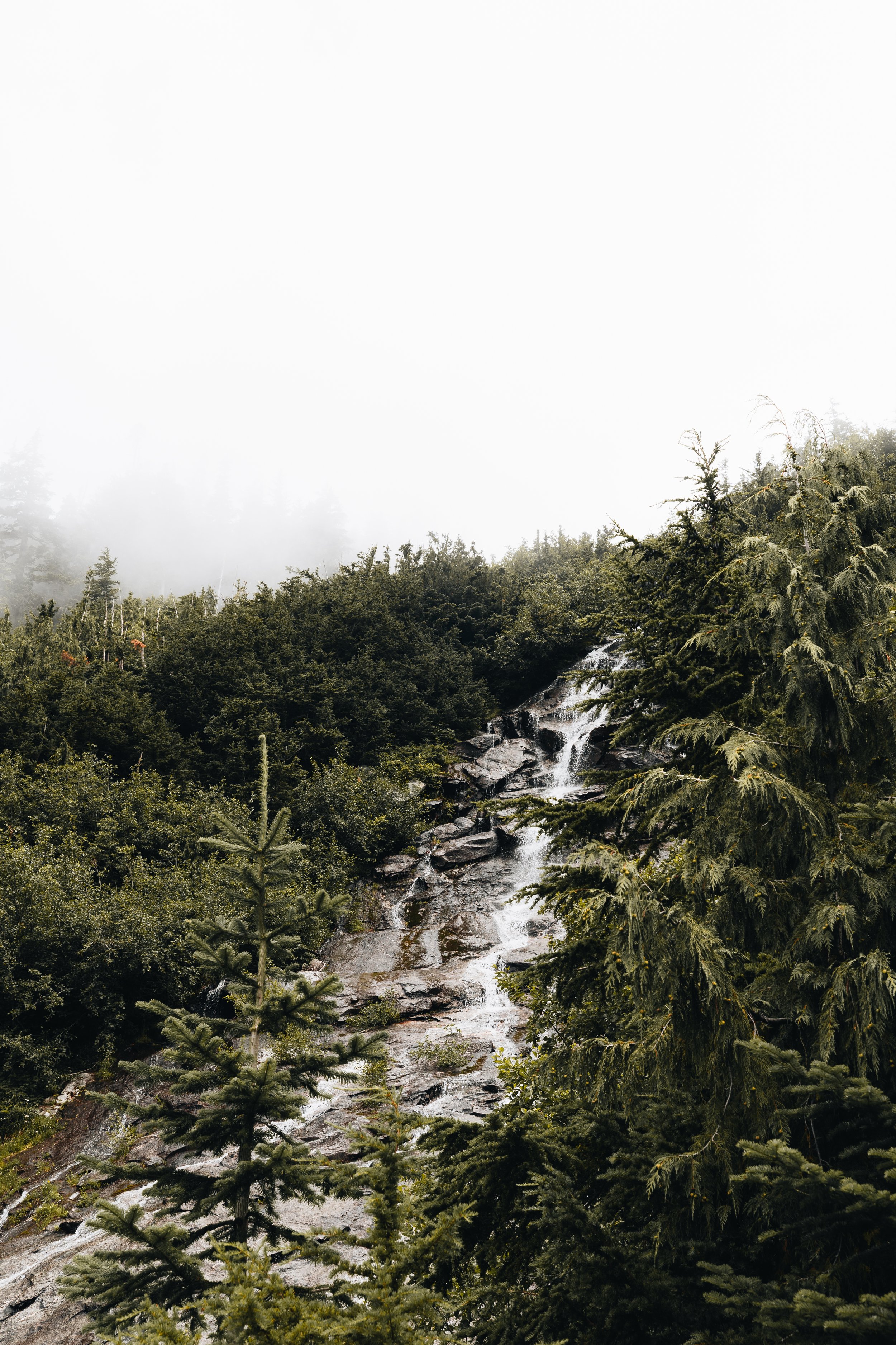 Website Photos Travel-21.jpg