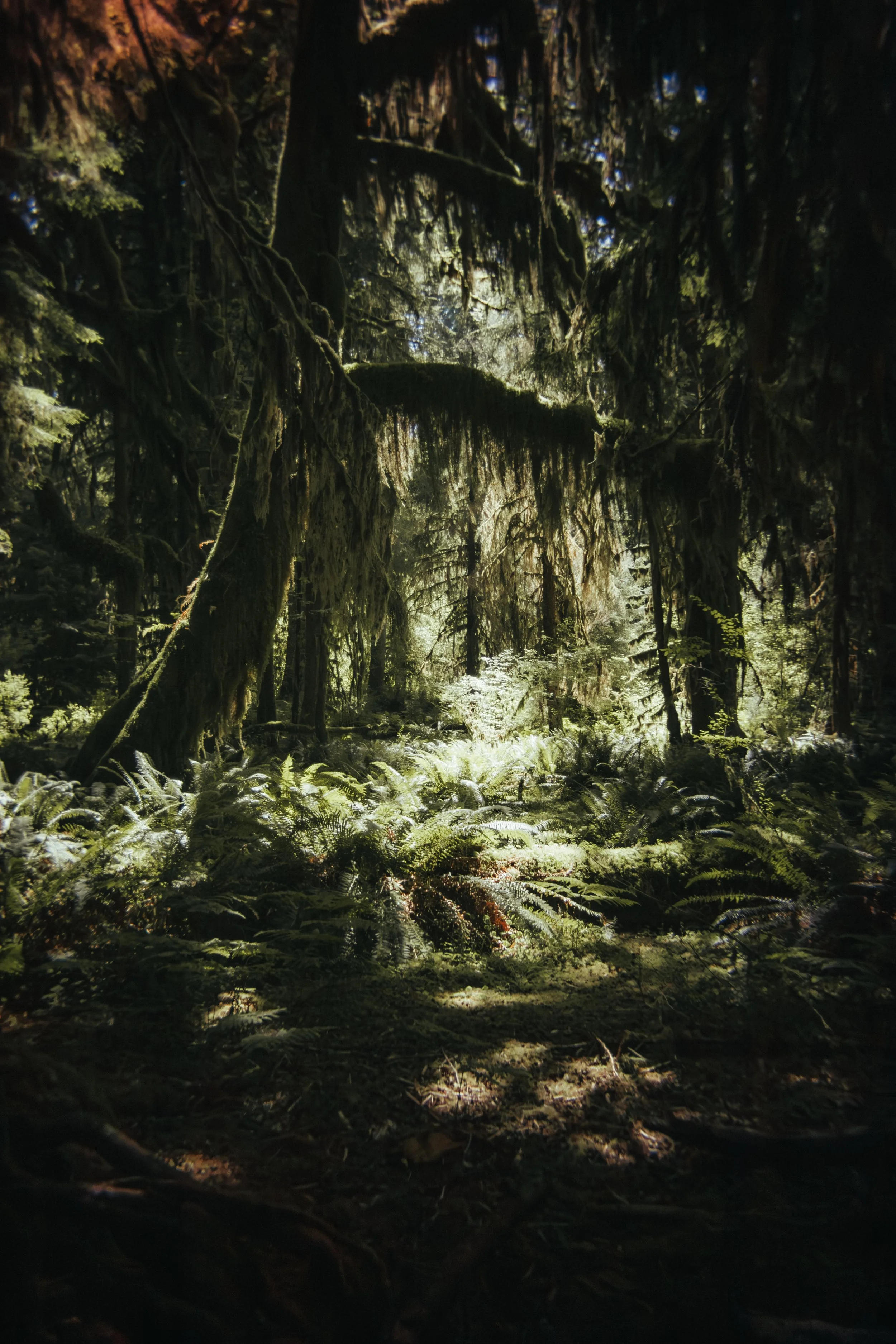 Website Photos Travel-15.jpg