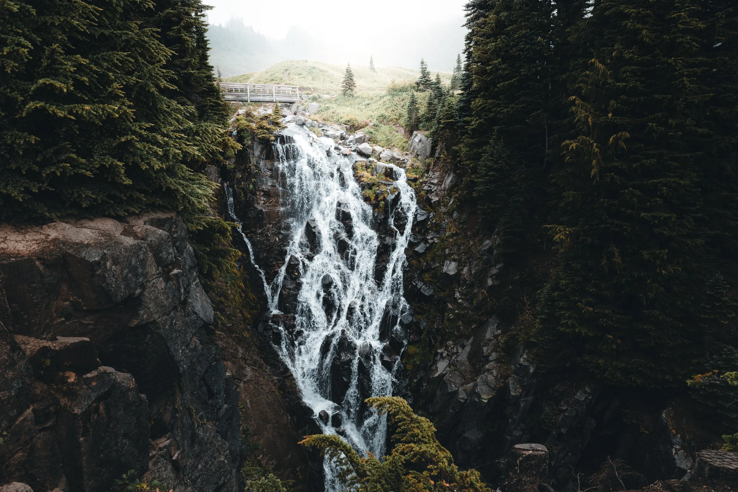 Website Photos Travel-19.jpg