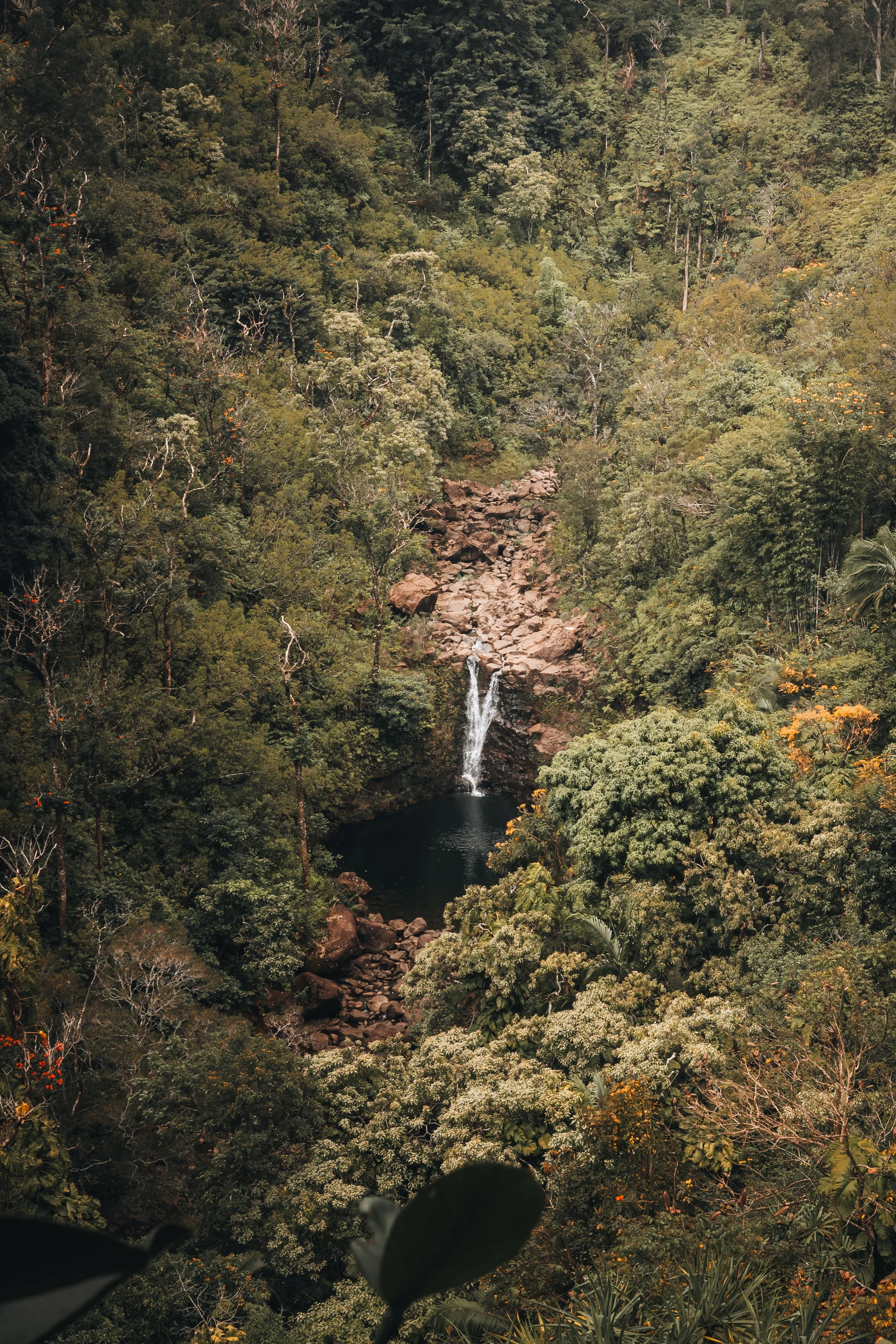 Website Photos Travel-32.jpg