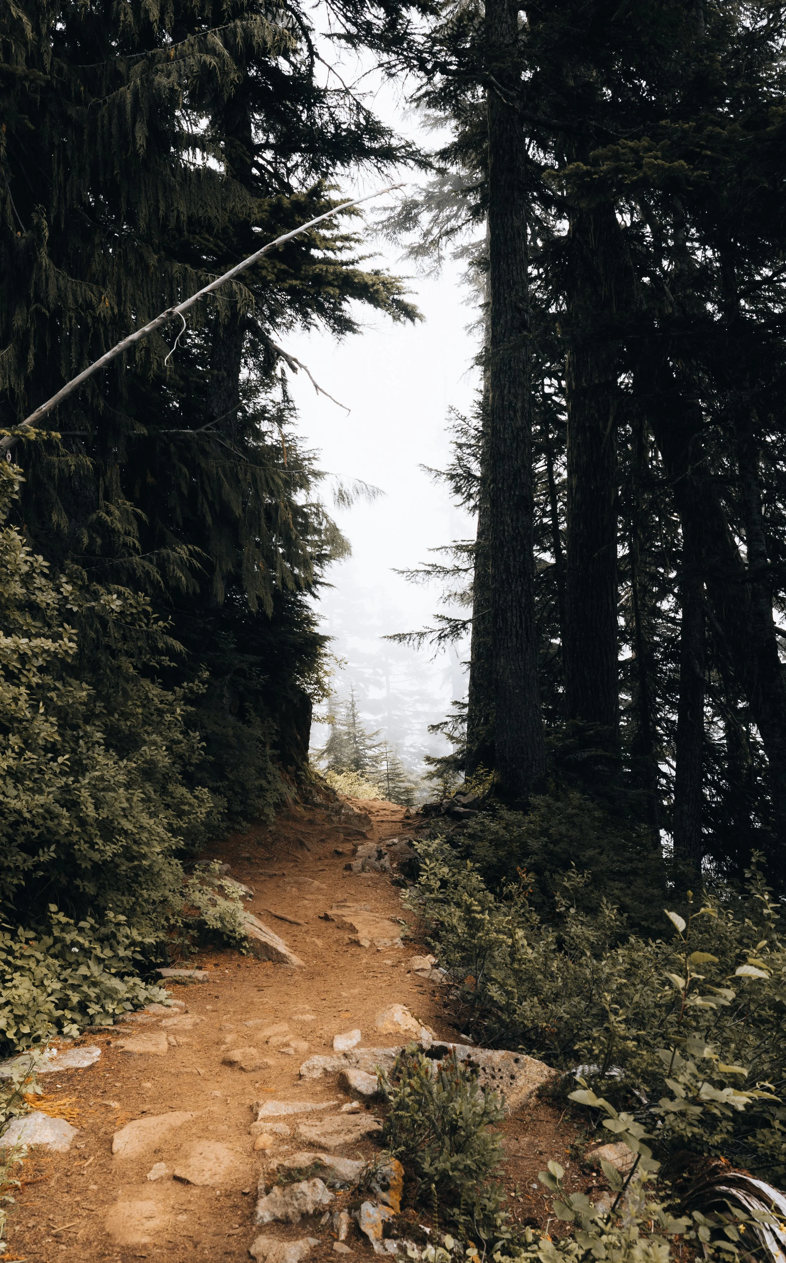 Website Photos Travel-22.jpg