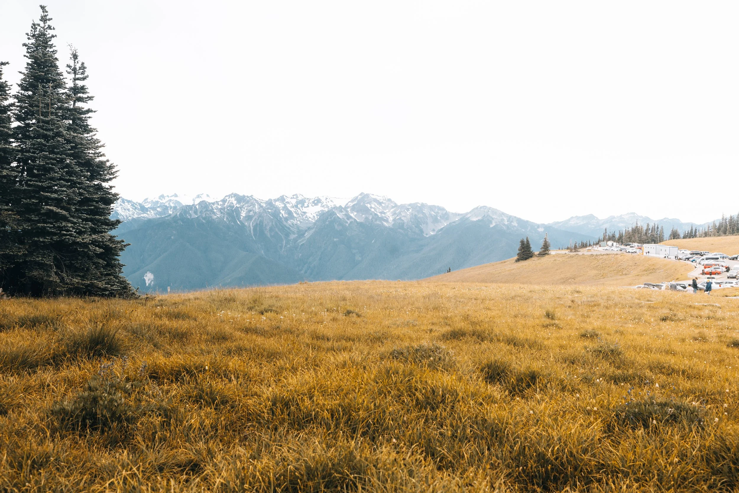 Website Photos Travel-13.jpg