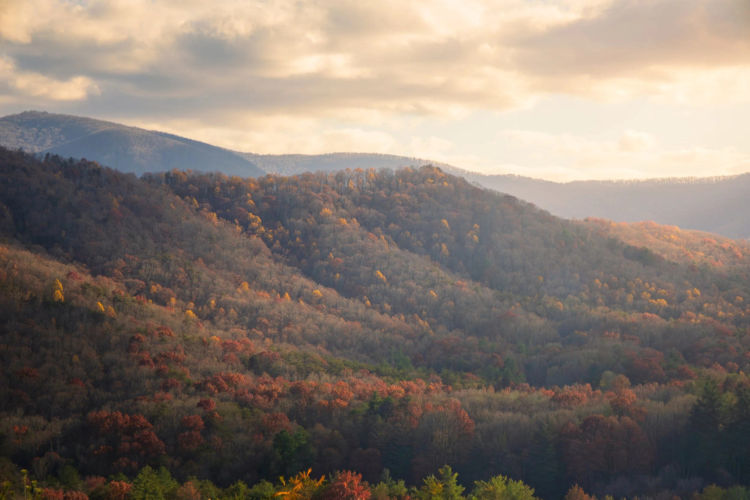 Website Photos Travel-1.jpg