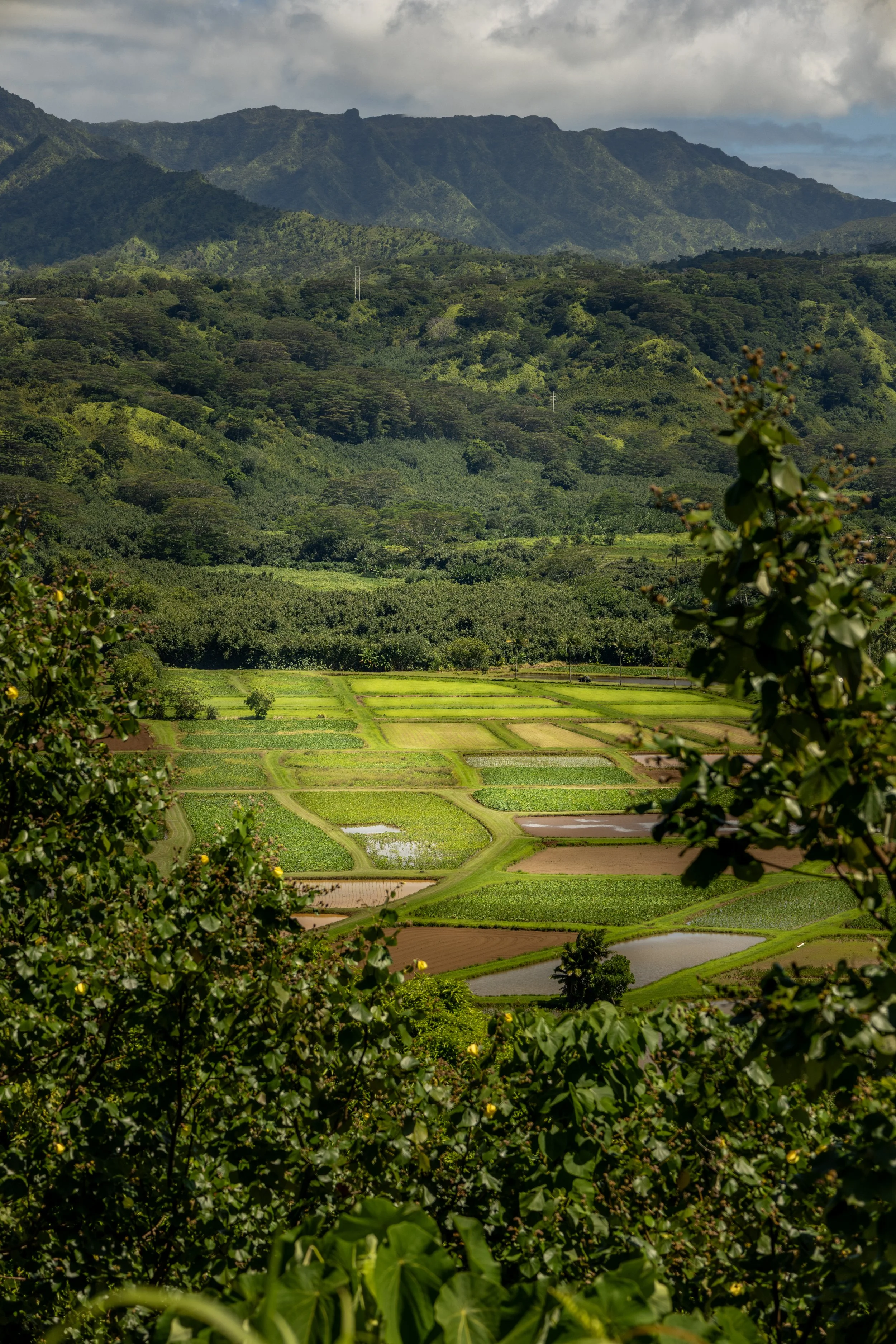 Website Photos Travel-36.jpg